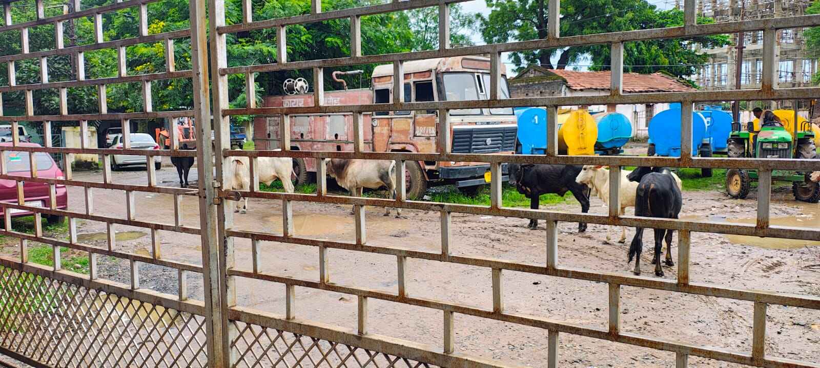 गाडरवारा नगर पालिका