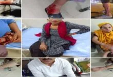 इटारसी में पागल कुत्ते का आतंक