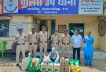 सालीचौका