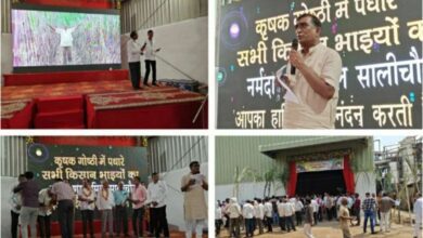 सालीचौका