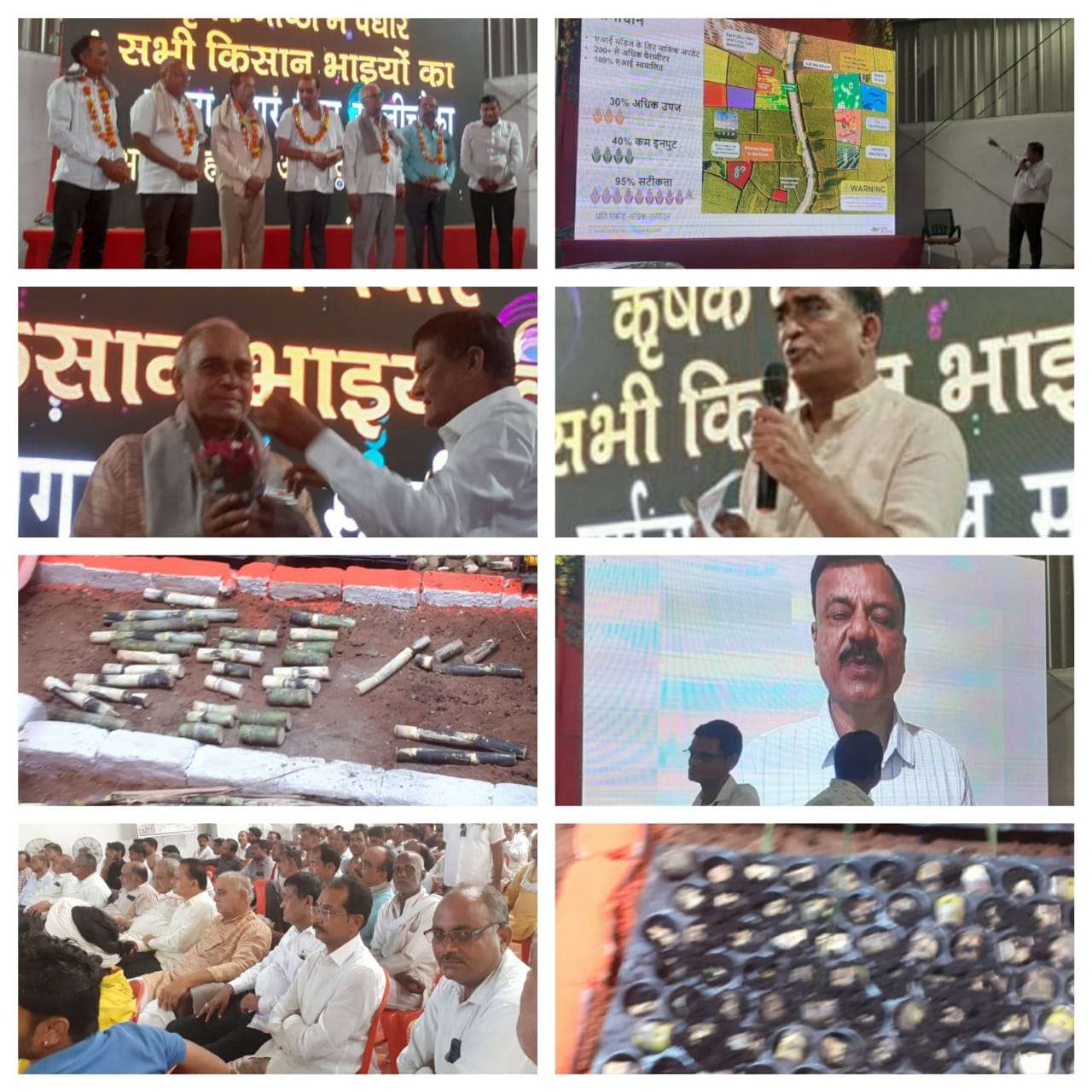 सालीचौका