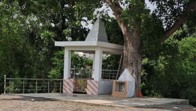 शाहपुर में