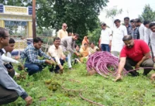 प्रधानमंत्री मोदी