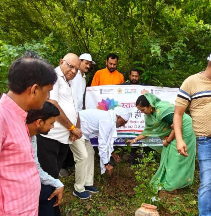 वृक्षारोपण