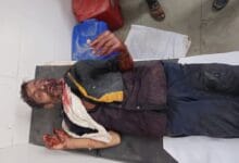 भालू का हमला