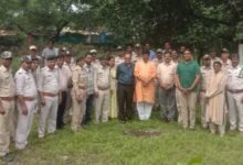 नमो वन अभियान 2025