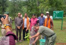 सेवा पखवाड़ा