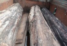 ब्रेकिंग न्यूज़ इटारसी