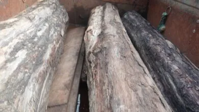 ब्रेकिंग न्यूज़ इटारसी