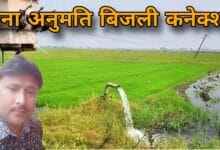 सोहागपुर बिजली विभाग भ्रष्टाचार