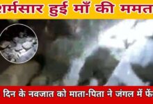 शर्मसार हुई माँ की ममता