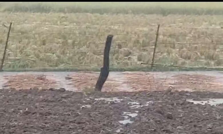 बेमौसम बारिश Janta express live