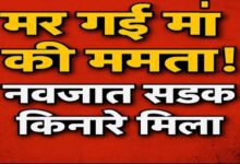 मर गई मां की ममता! रोड किनारे मिला नवजात का शव, मानवता हुई शर्मसार — अमरवाड़ा में दिल दहला देने वाली वारदात Janta express live