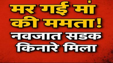 मर गई मां की ममता! रोड किनारे मिला नवजात का शव, मानवता हुई शर्मसार — अमरवाड़ा में दिल दहला देने वाली वारदात Janta express live