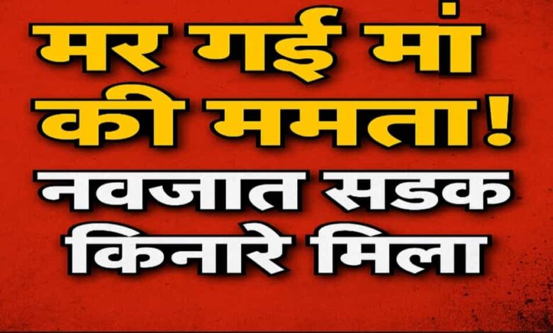 मर गई मां की ममता! रोड किनारे मिला नवजात का शव, मानवता हुई शर्मसार — अमरवाड़ा में दिल दहला देने वाली वारदात Janta express live