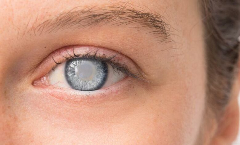 10 दिसंबर