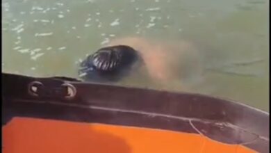 नर्मदा स्नान Janta express live