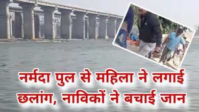 नर्मदा पुल