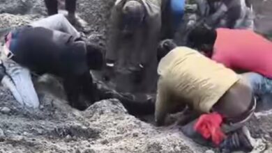 गाडरवारा NTPC