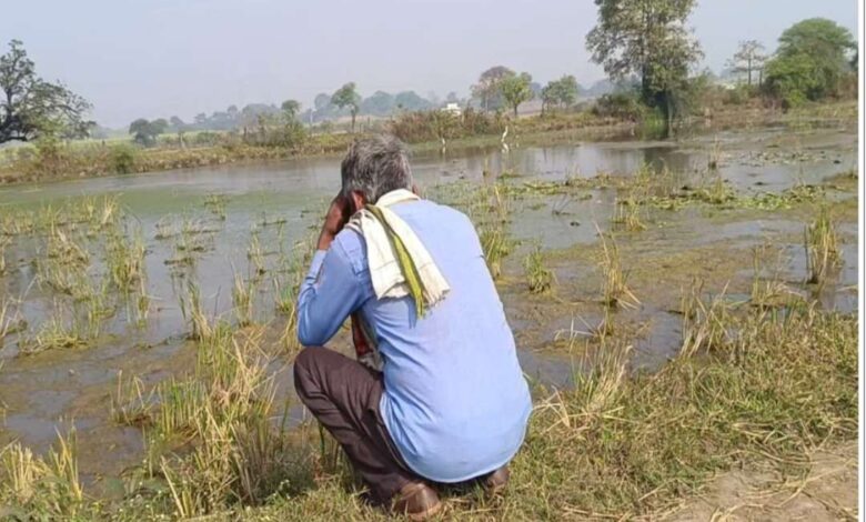 गाडरवारा News