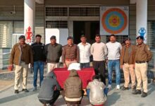 वन्य प्राणी तस्करी नरसिंहपुर