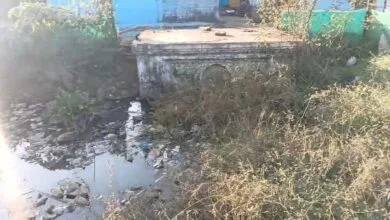 बापू