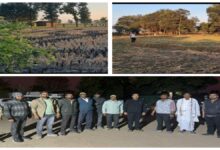 सालीचौका महाविद्यालय