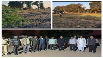 सालीचौका महाविद्यालय