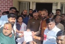 साईंखेड़ा गौवंश