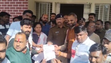 साईंखेड़ा गौवंश