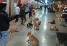 इटारसी जंक्शन