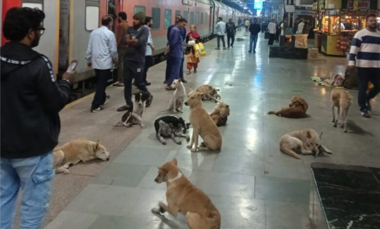 इटारसी जंक्शन