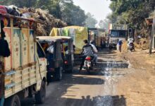 शुगर मिलें नर्मदा शुगर मिल सालीचौका