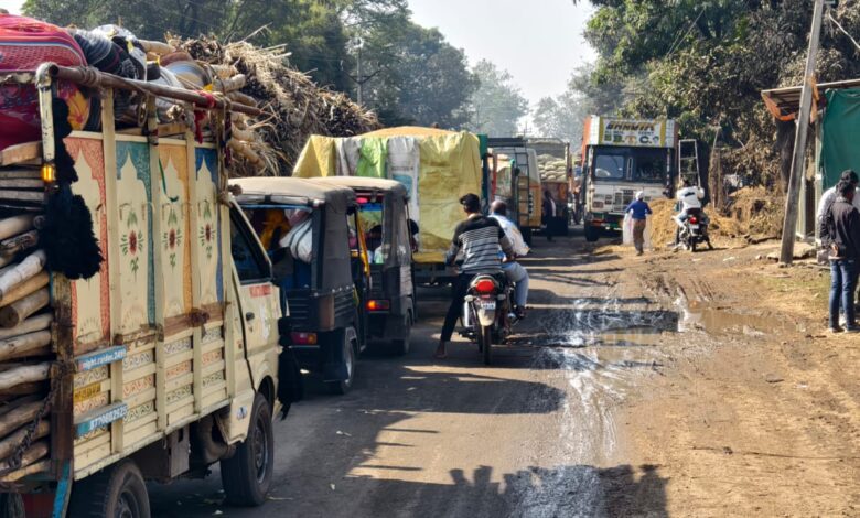 शुगर मिलें नर्मदा शुगर मिल सालीचौका