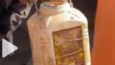 जहरीली दवा छिड़काव