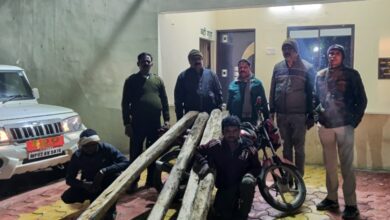 गाडरवारा वन विभाग