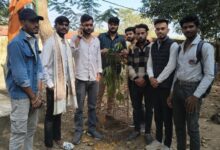 महाराणा प्रताप पीजी