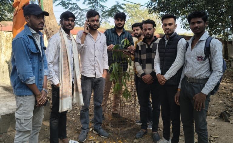 महाराणा प्रताप पीजी