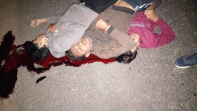 भीषण सड़क हादसा