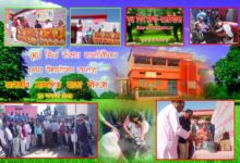 वृक्ष मित्र संस्था