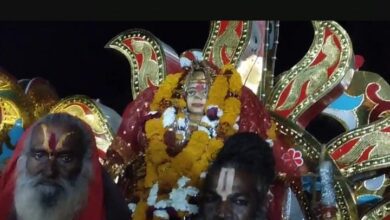 29वीं माही पंचकोशी