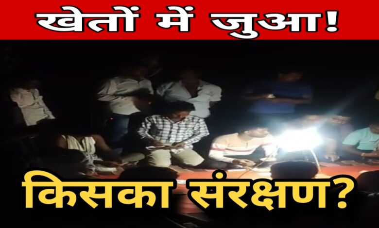 चिरिर्या महंगवा जुआ