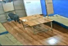 गुड़ व्यापारी